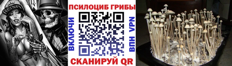 даркнет сайт  Новая Ляля  Псилоцибиновые грибы мухоморы 